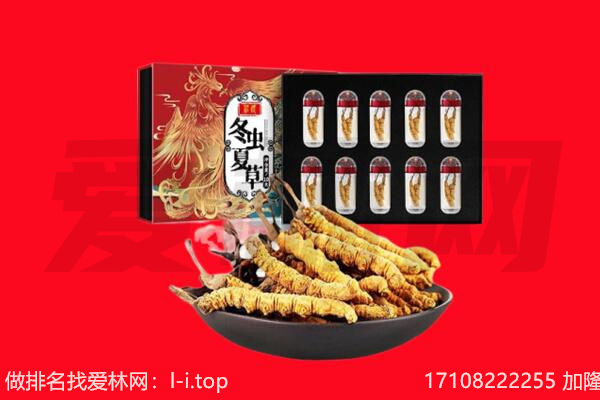 李沧区回收虫草.jpg